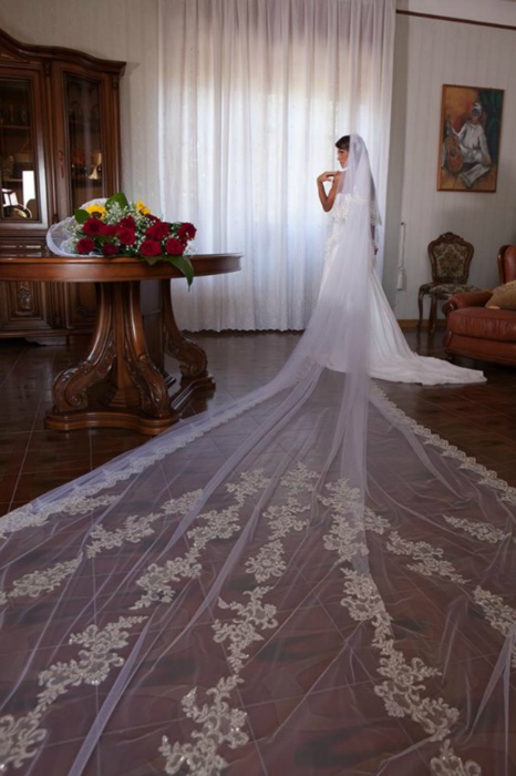 12494972 956912164389202 7693695015669069559 n